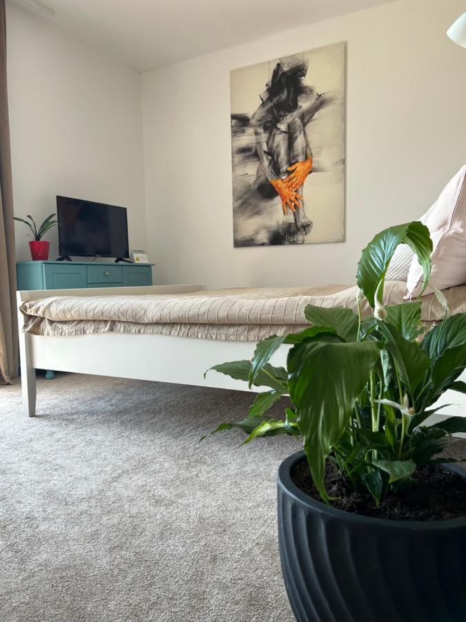 ולקה לומניקה Apartliv מראה חיצוני תמונה